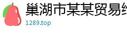 巢湖市某某贸易维修网点